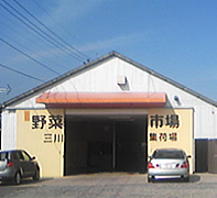 picture01