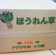 picture02