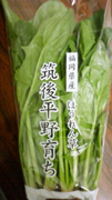 picture03